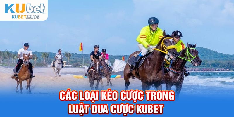 Các loại kèo cược trong luật đua cược Kubet