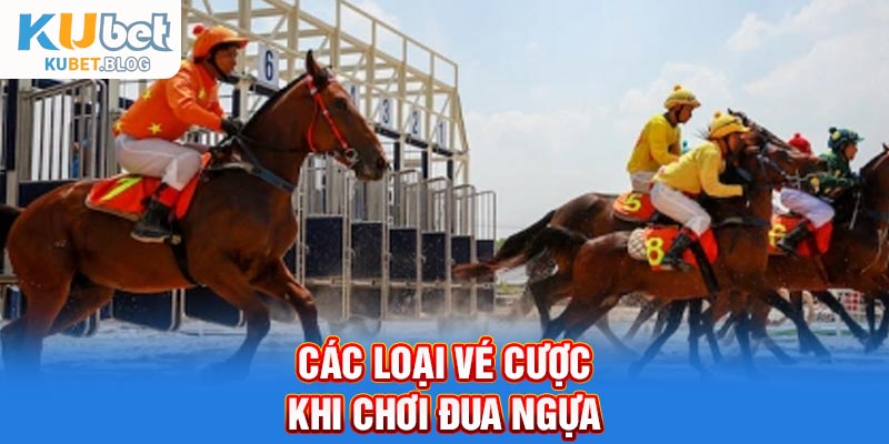 Một số loại vé cược khi chơi đua ngựa
