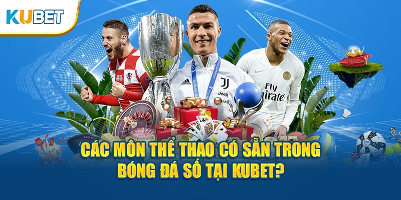 Các môn thể thao có sẵn trong bóng đá số tại Kubet?