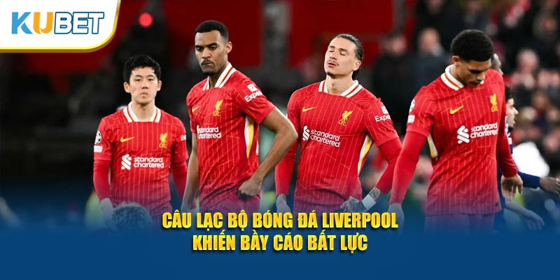 Câu lạc bộ bóng đá Liverpool khiến bầy cáo bất lực