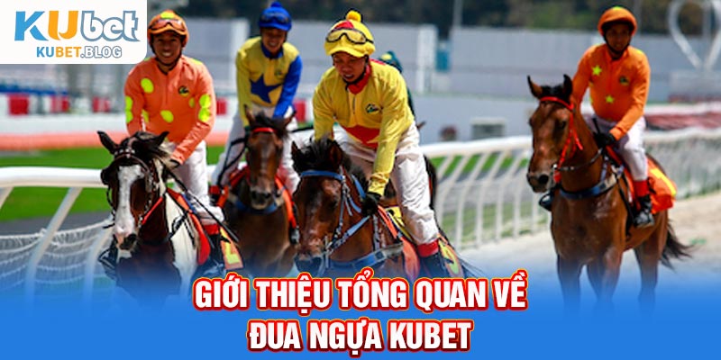Tổng quan về đua ngựa Kubet