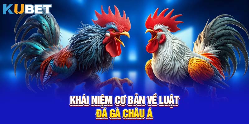 Khái niệm cơ bản về luật đá gà Châu Á