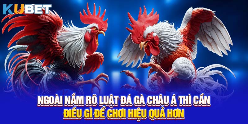 Ngoài nắm rõ luật đá gà Châu Á thì cần điều gì để chơi hiệu quả hơn